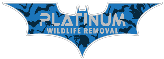 Wildlife Removal Cass County