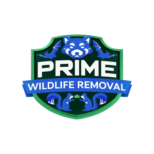 Wildlife Removal Cass County